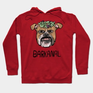 Barkanal Hoodie